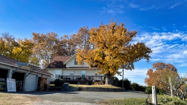 Struble Ranch House